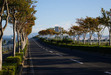 111004 ４３１号線の陸橋.jpg