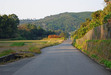 111008 山陰道沿いの道.jpg