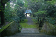 日吉神社の参道