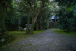111107 日吉神社の境内.jpg
