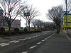 120211 ４３１号 けやき通り.jpg