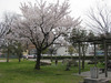 120410 米子市役所の公園.jpg