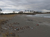 121229 ゴミの多い淀江の海岸.jpg
