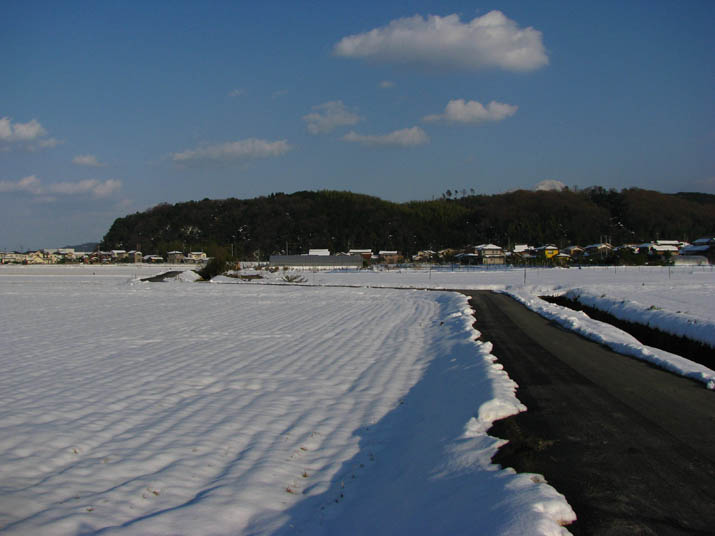120129 壺瓶山へと向かう雪かきされた農道.jpg